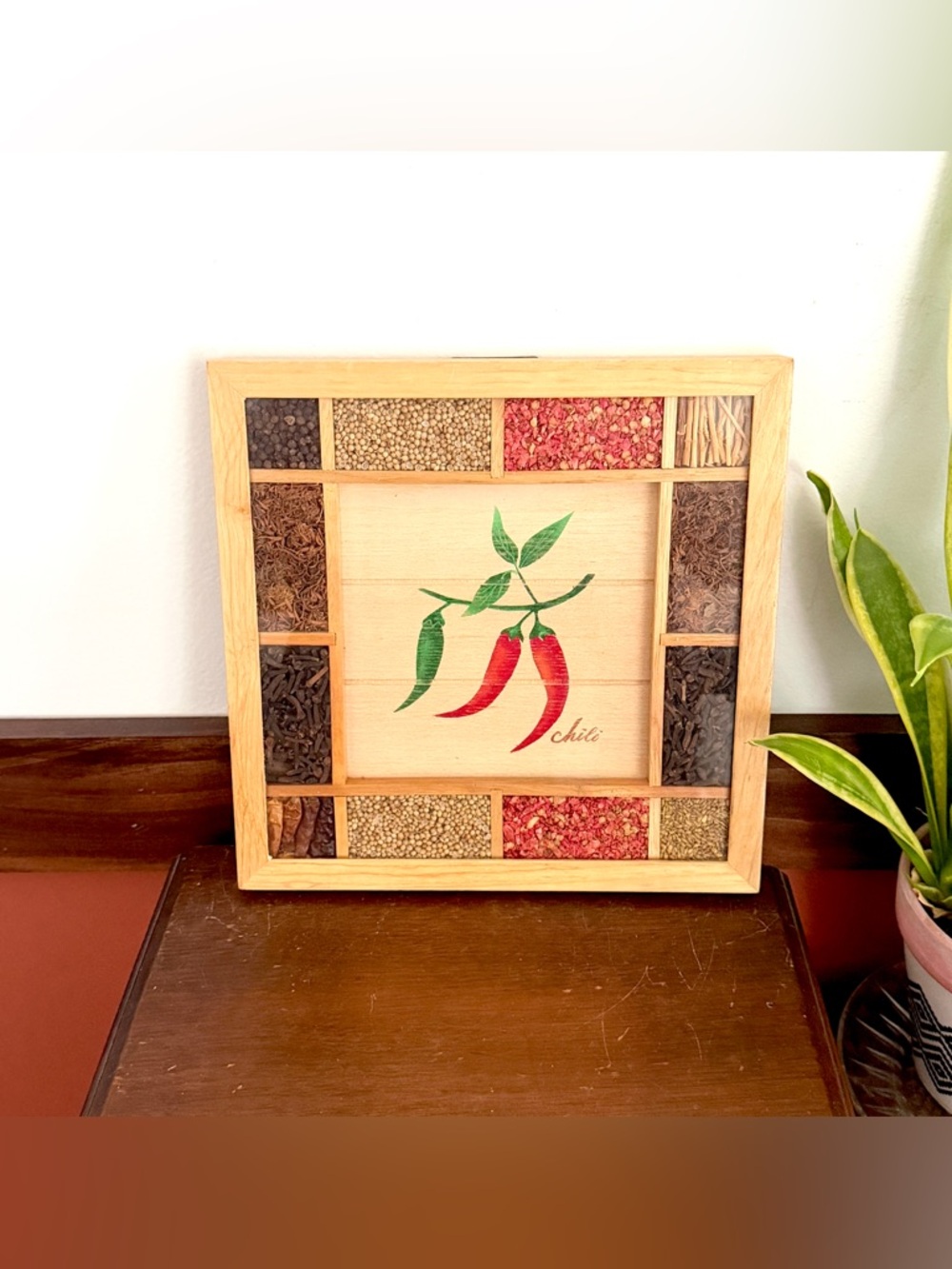 Vintage Chili Pepper Frame Wall Art Wood Shadowbox Real Spices Six Trees Kitchen